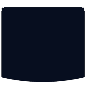 MG eZS Boot mat product image